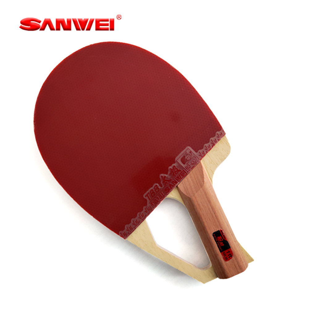 Table Tennis Paddle - Racchetta da Ping Pong Professionale SANWEI