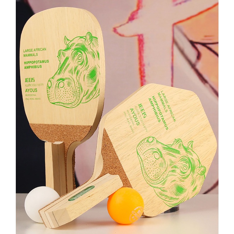 Racchetta da Ping Pong Profess - Table Tennis Paddle recensione e prezzo