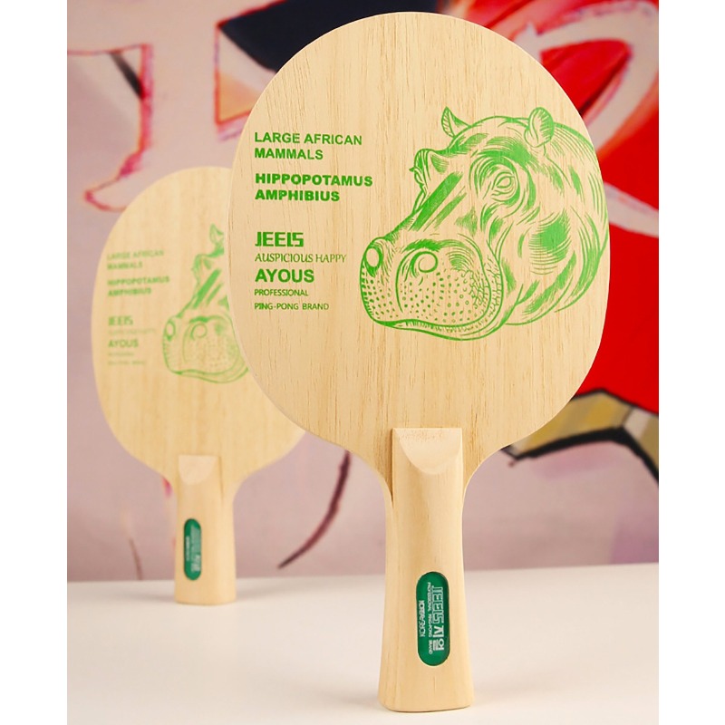Racchetta da Ping Pong Profess - Table Tennis Paddle recensione e prezzo