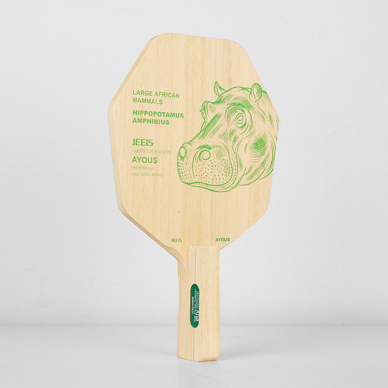 Racchetta da Ping Pong JEELS i - Table Tennis Paddle recensione e prezzo