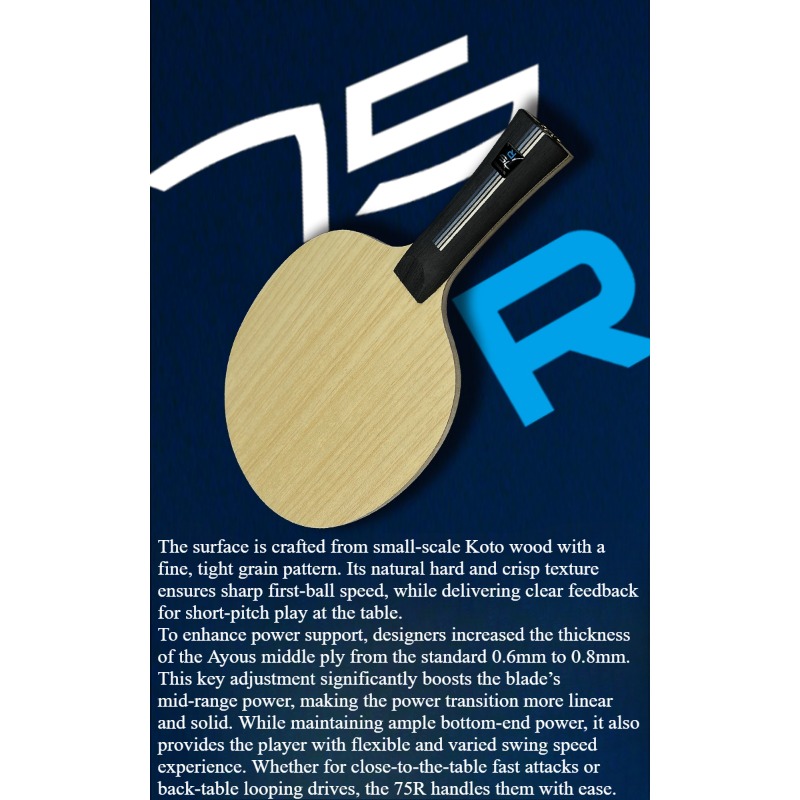 SANWEI 75R 5+2 Outer H-GLC Tel - Table Tennis Paddle recensione e prezzo